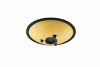 MEINL Sonic Energy 10 Compact Steel Tongue Drum, D Minor, 8 Notes, 432 Hz, Gold CSTD3G